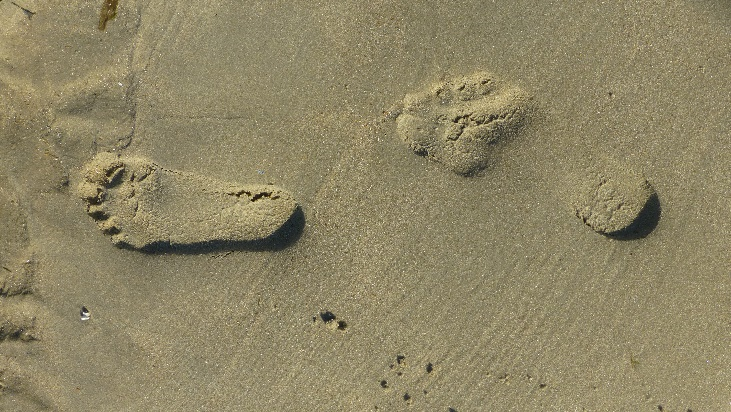 Foetstappen in het zand
